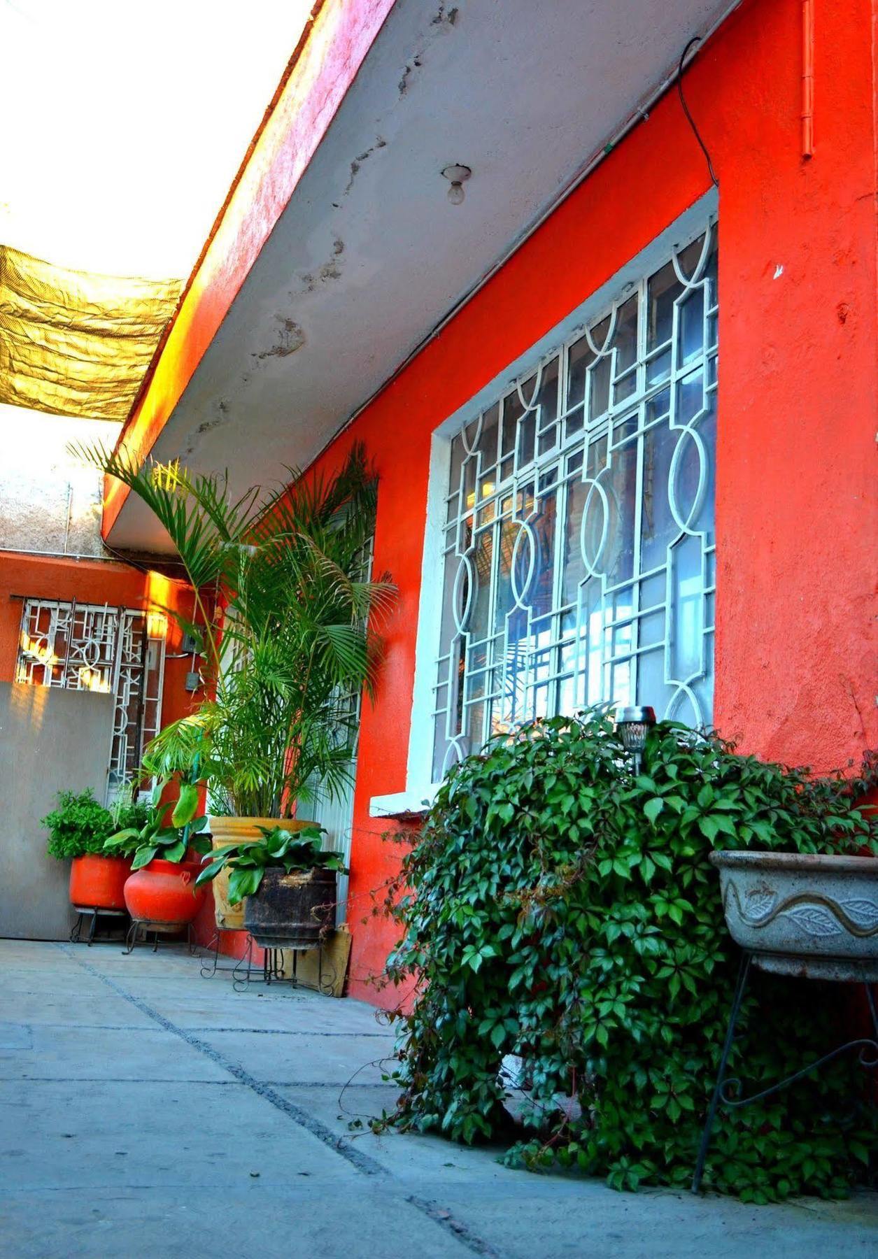Hostal Maple كويريتارو المظهر الخارجي الصورة